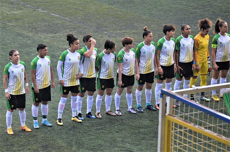 1. Lig